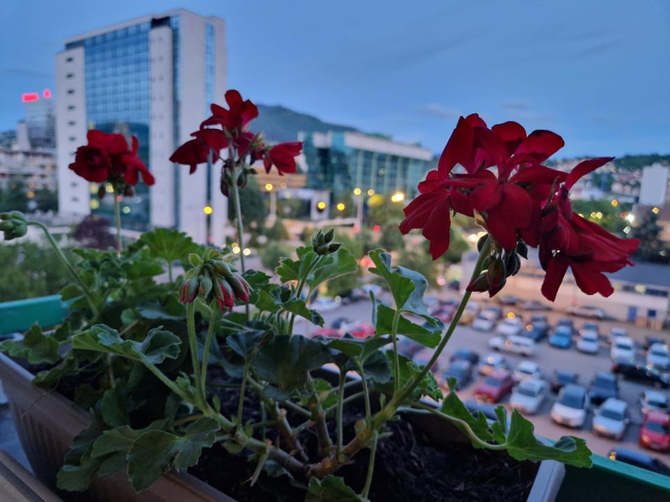 City view, Location, Parking