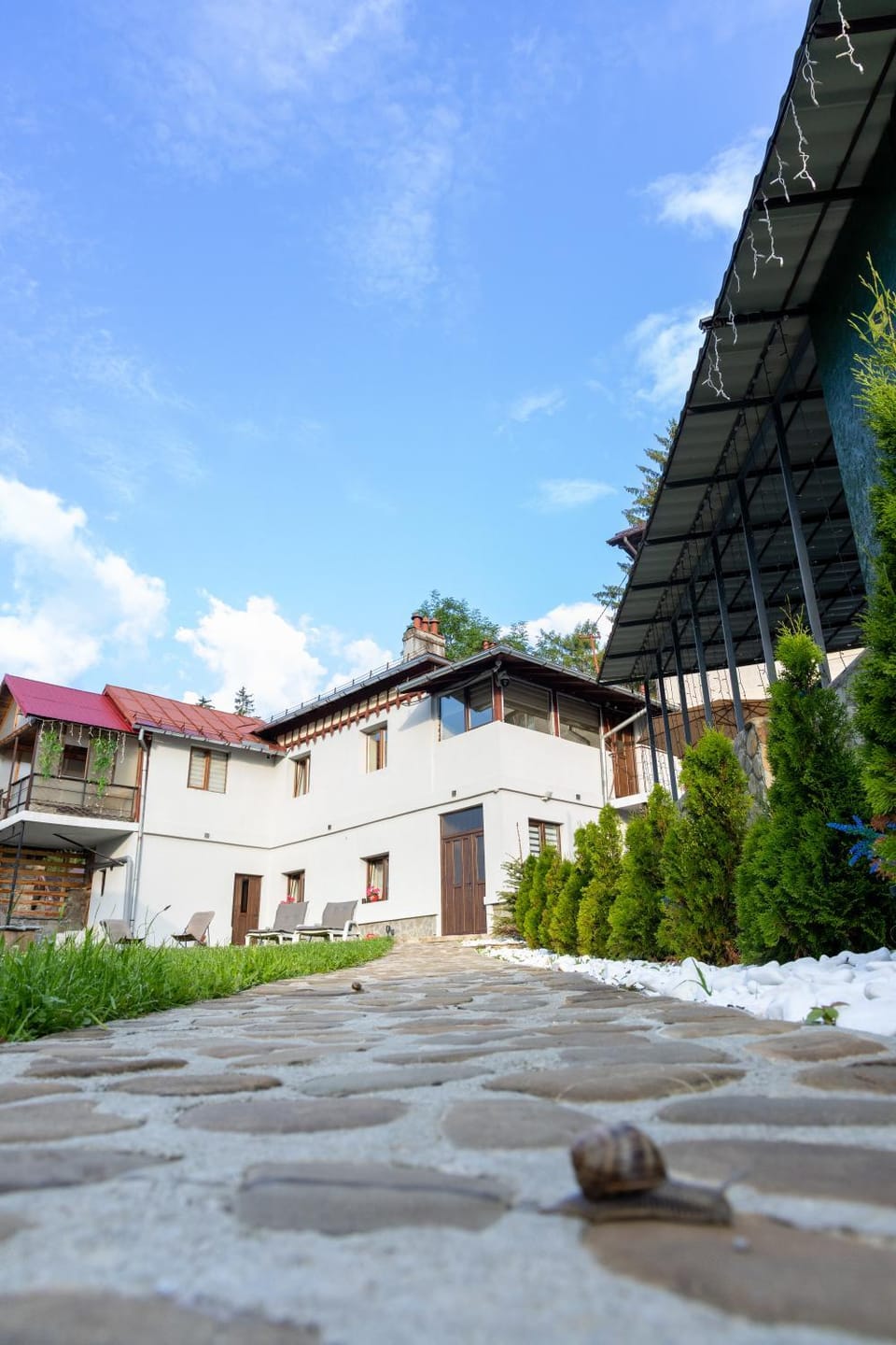 Casa SEMA Apartment in Sinaia