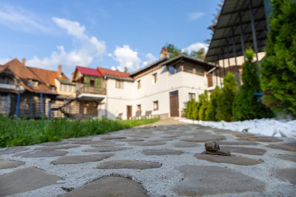 Casa SEMA Apartment in Sinaia