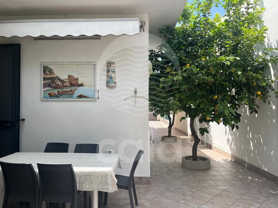 Patio, Dining area