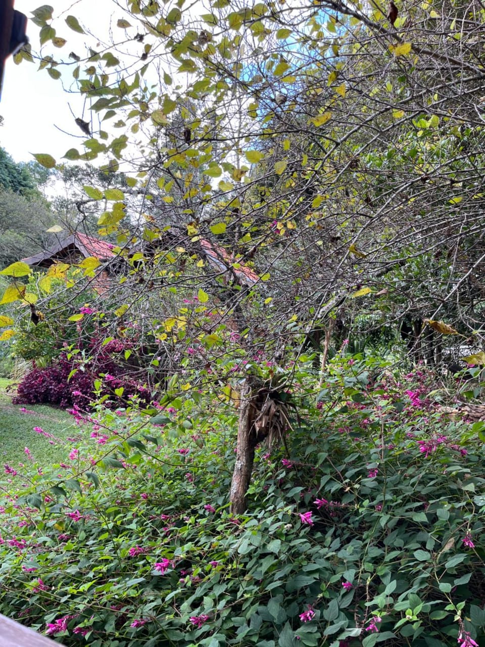 Garden, Garden view