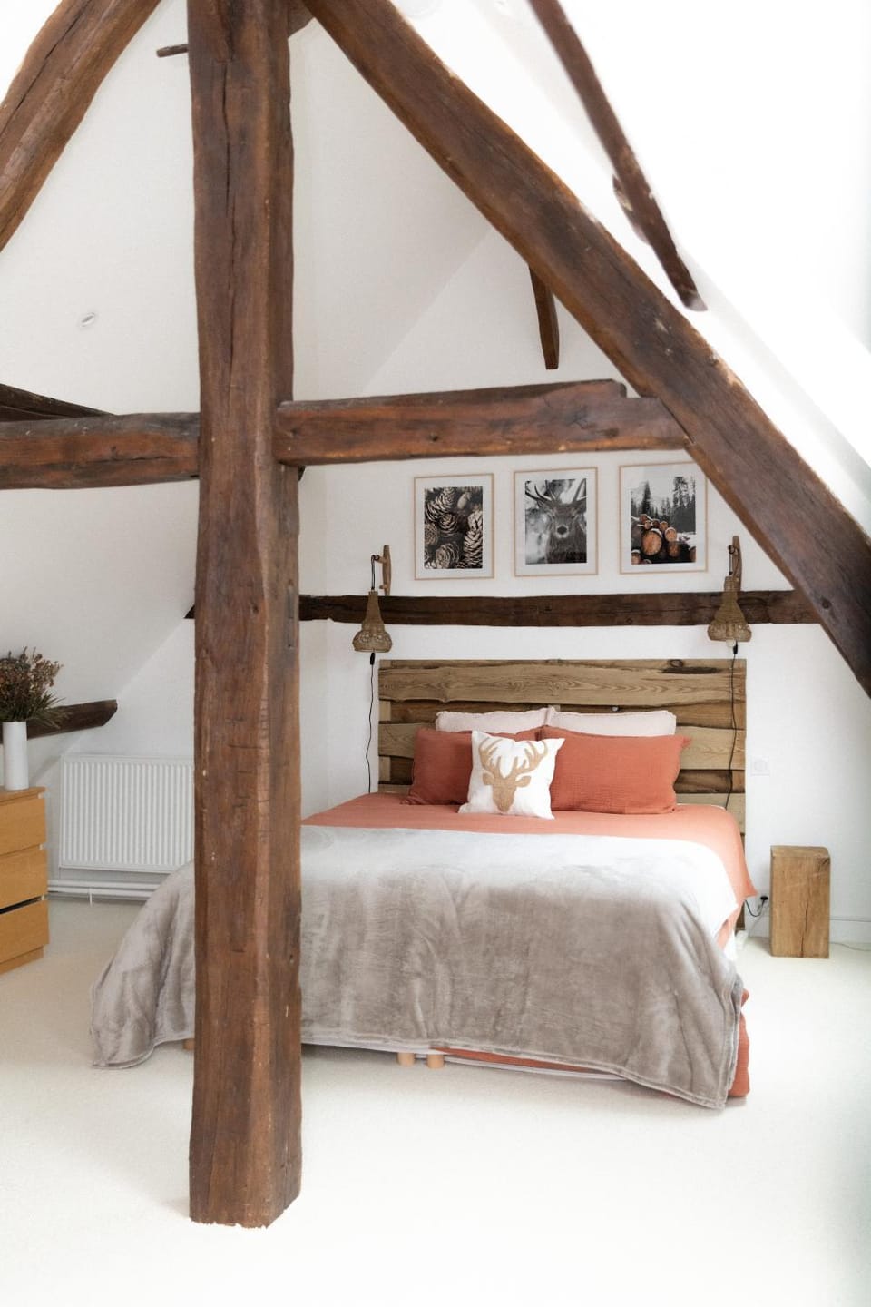 Bed, Photo of the whole room, Bedroom
