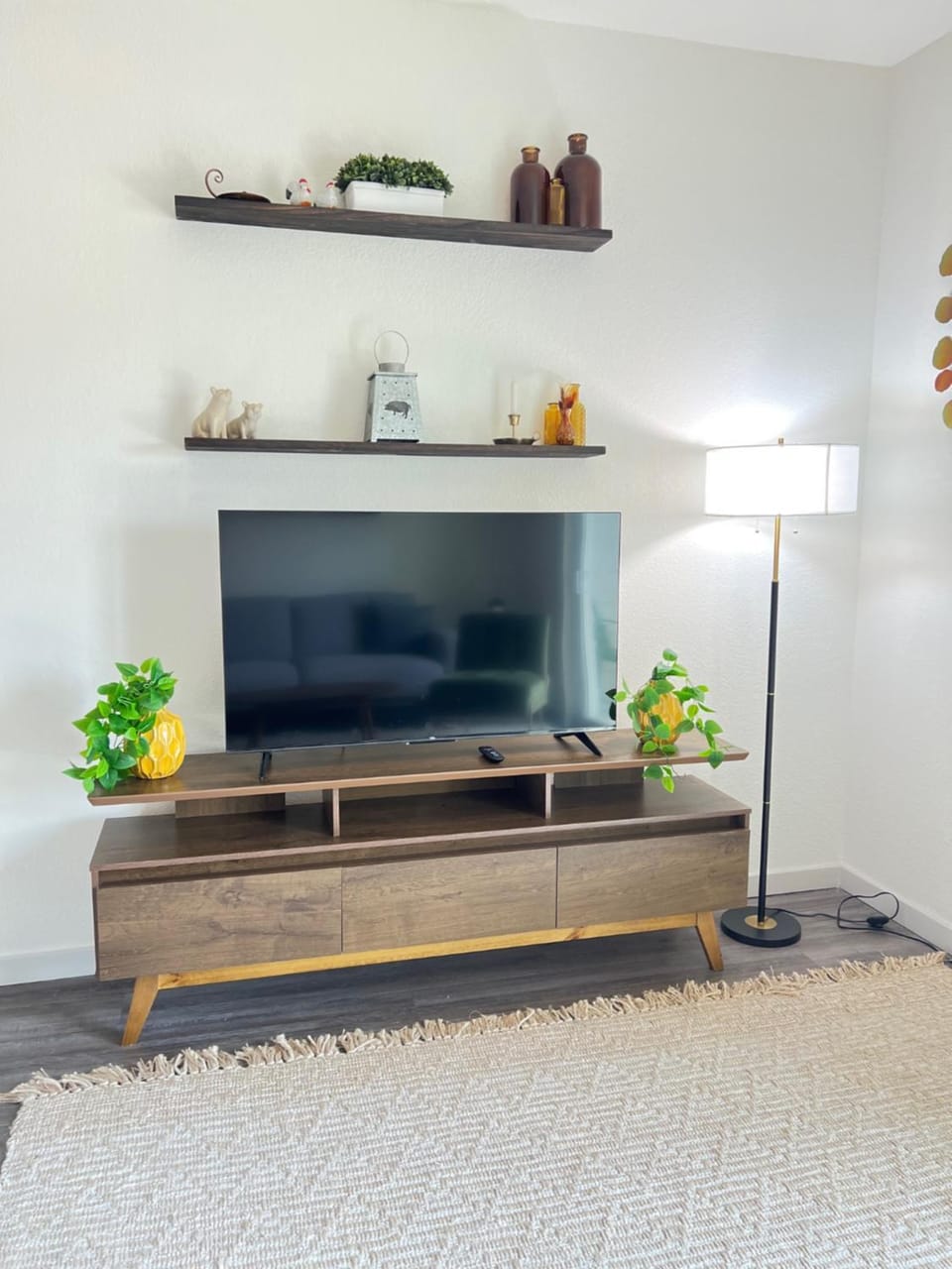 TV and multimedia