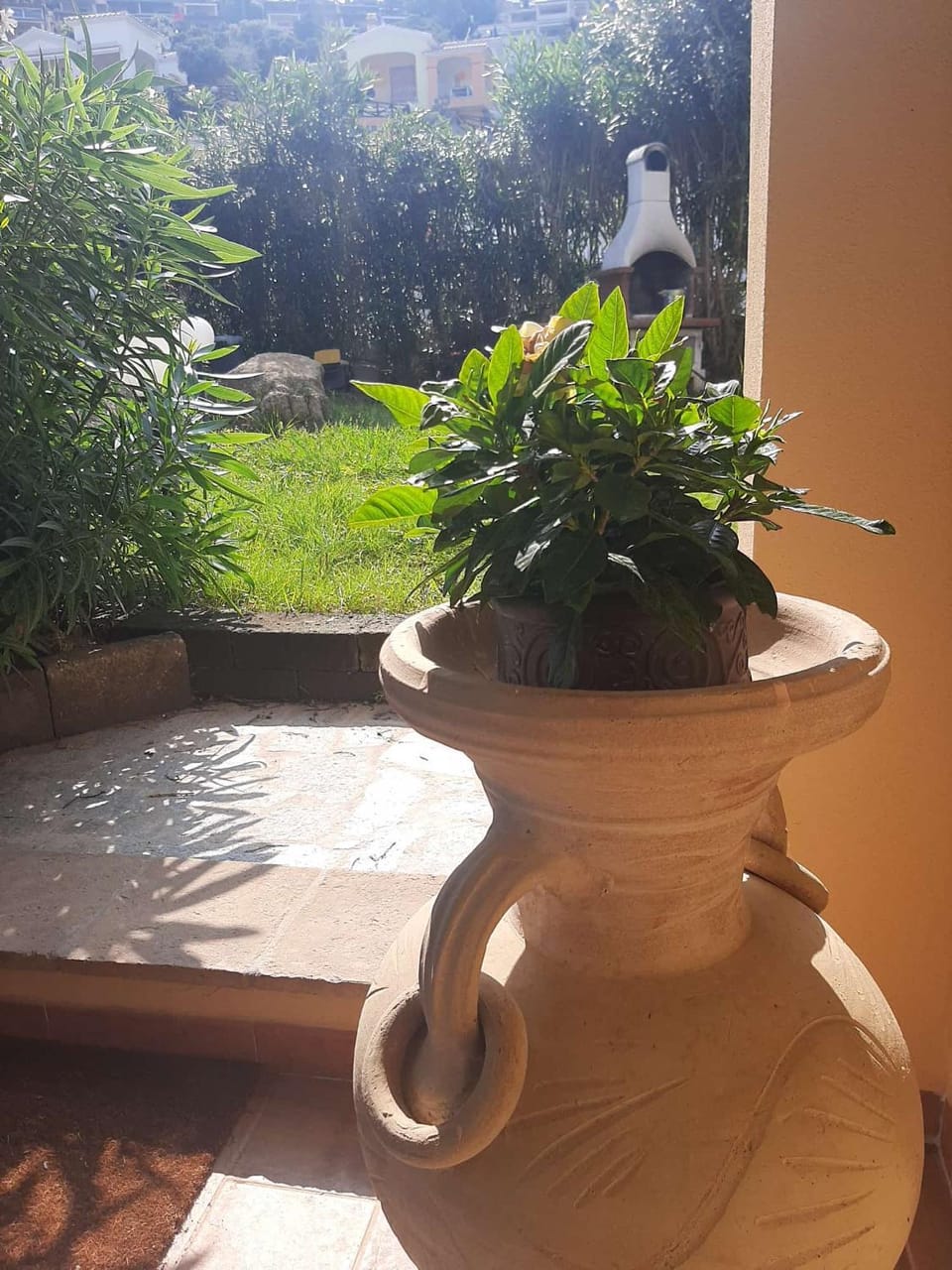 Day, Garden, Garden view