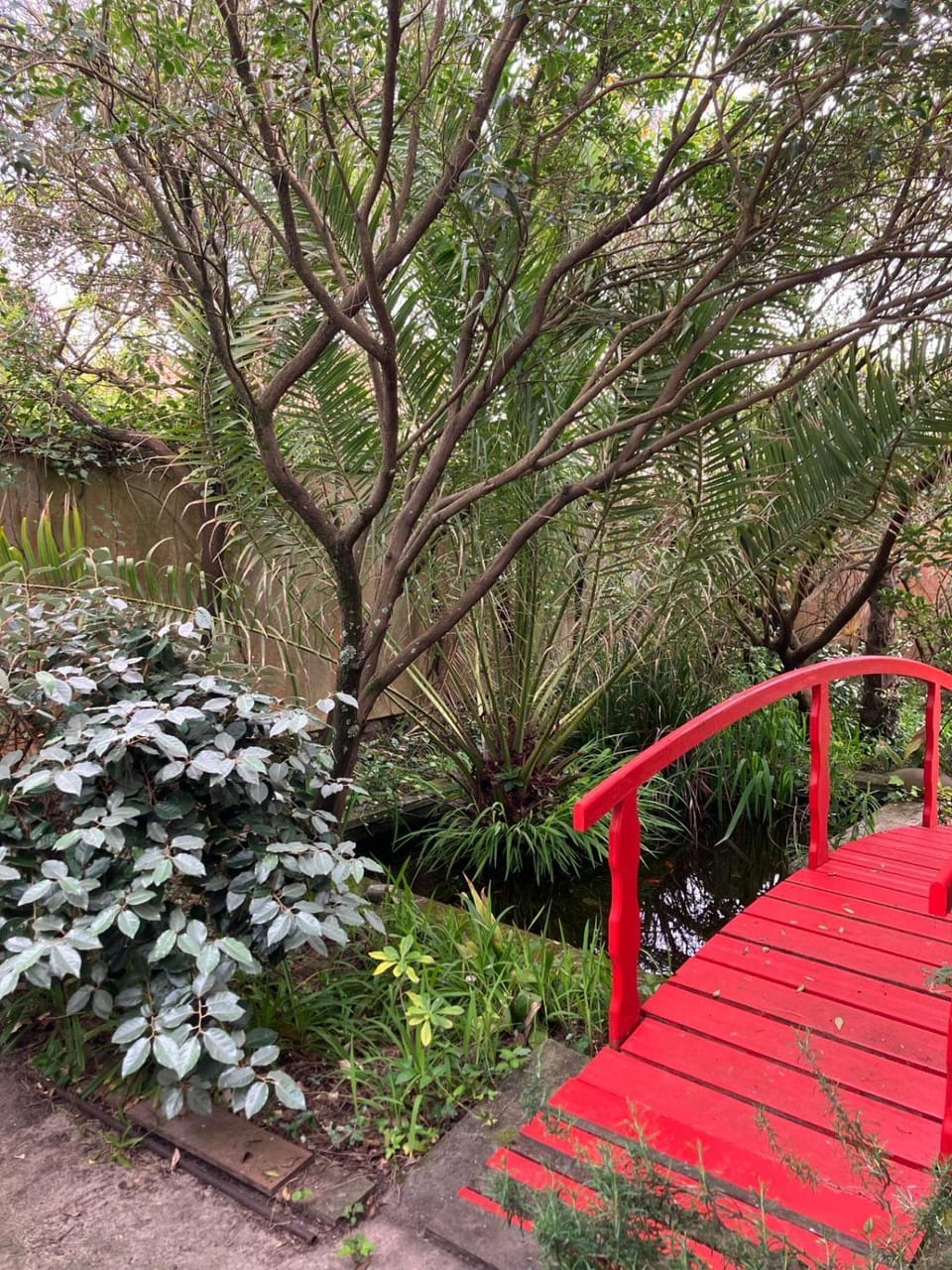 Garden view