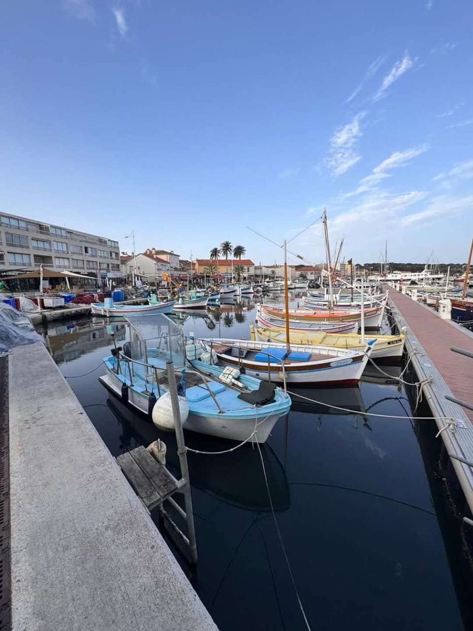 Appartement au calme Apartment in Six-Fours-les-Plages