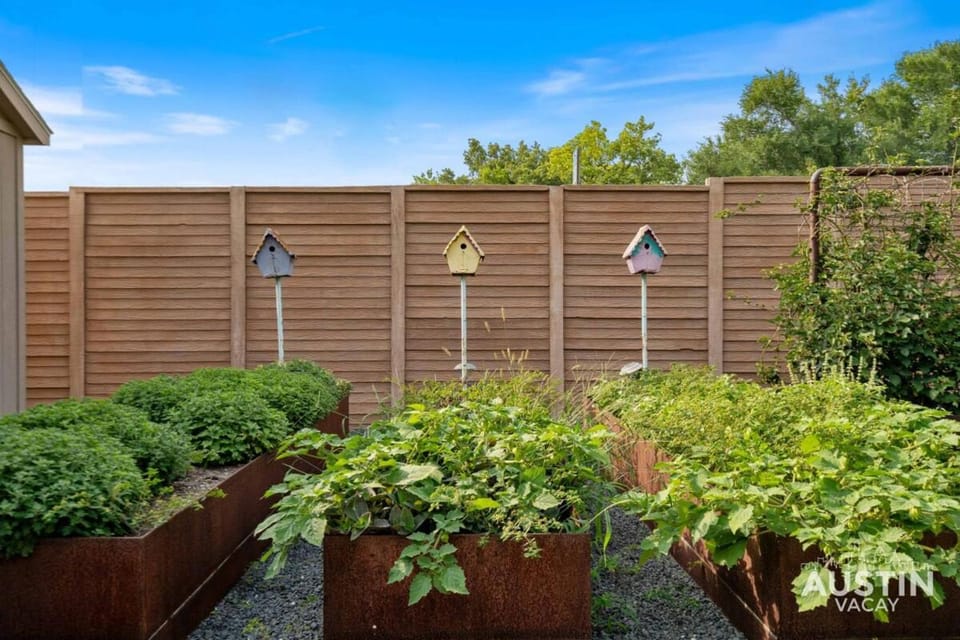 Day, Garden, Garden view