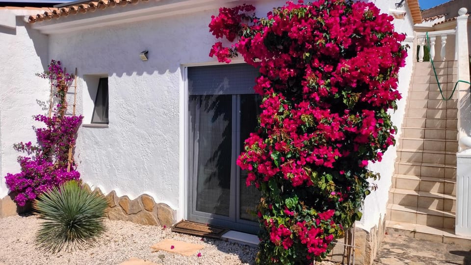 Property building, Garden, Garden