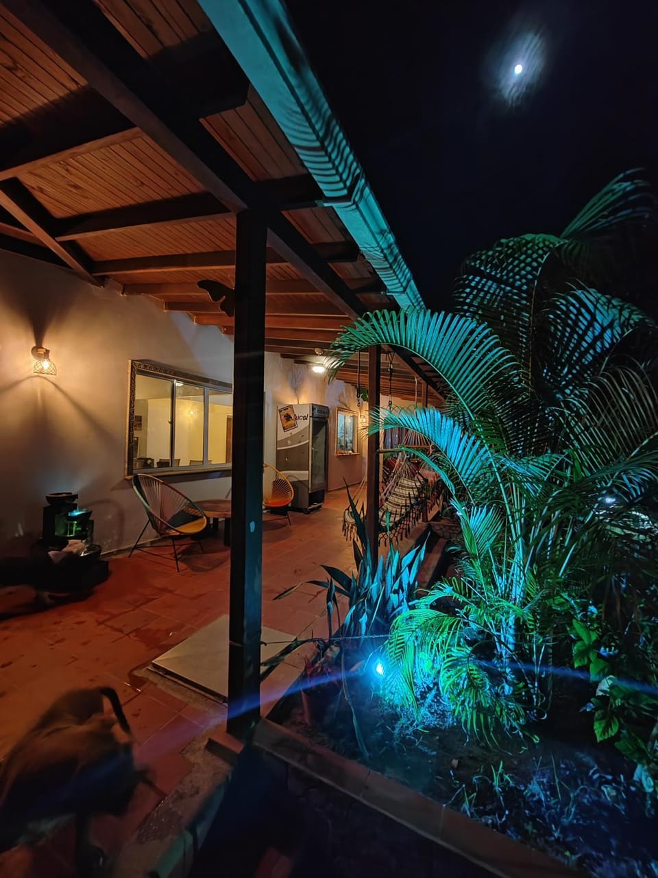 Night, Garden view