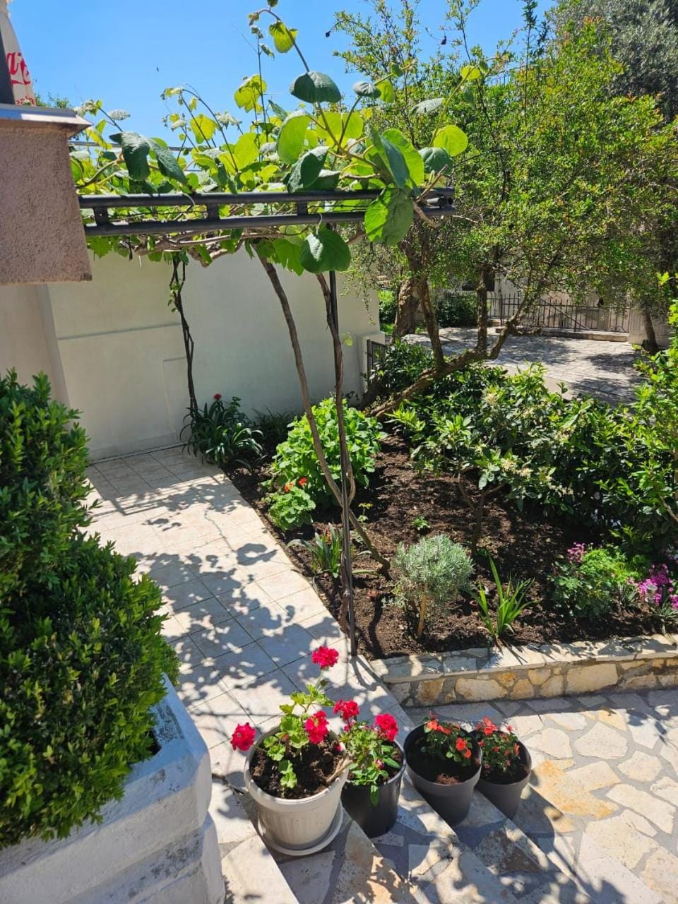 Garden, Garden view