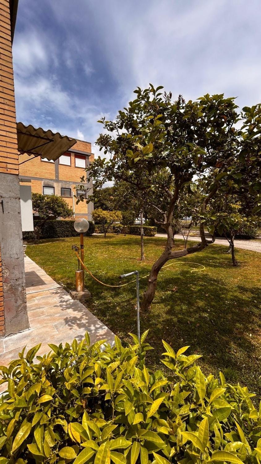 Minni appartment Apartment in Sabaudia