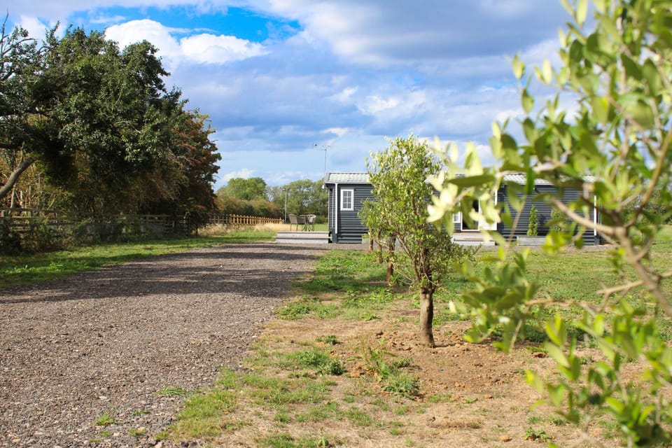 Garden, Garden view