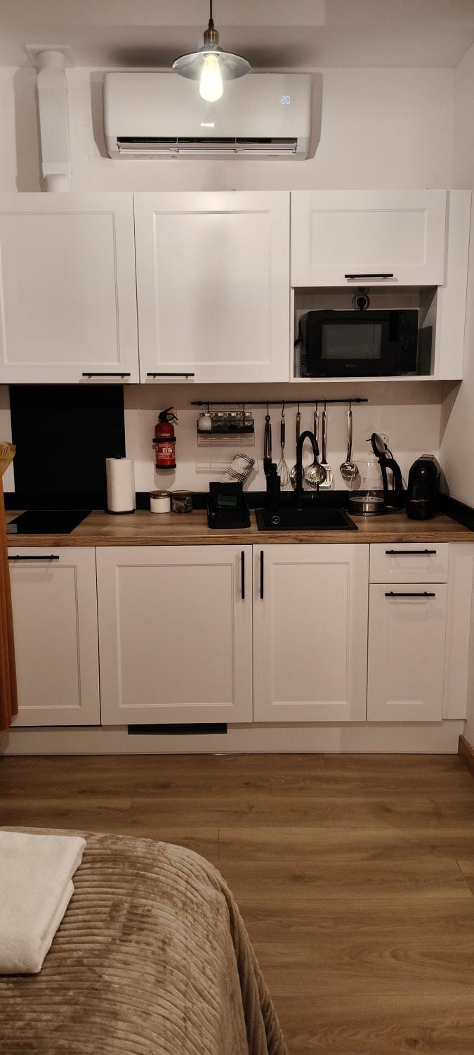 Kitchen or kitchenette, kitchen