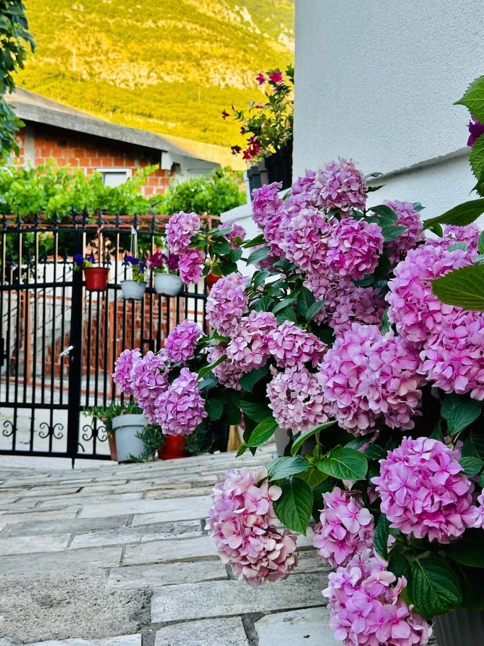 MorePlanina Apartment in Montenegro
