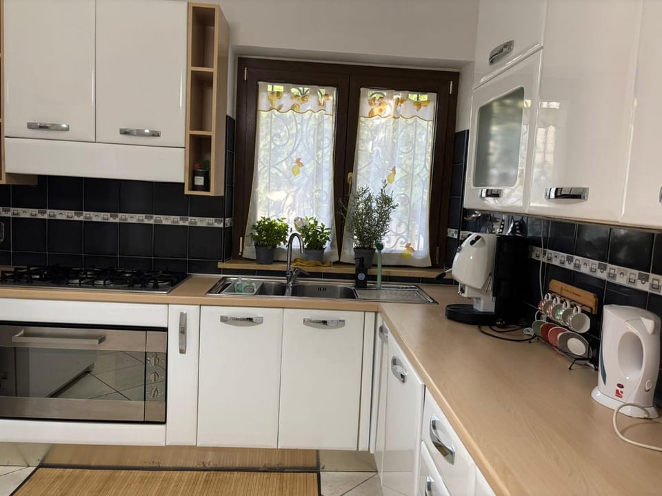 Kitchen or kitchenette, dishwasher, stove