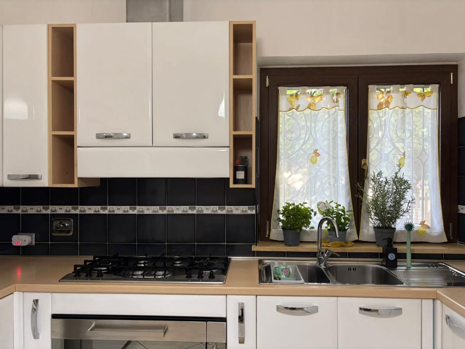 Kitchen or kitchenette, dishwasher, stove