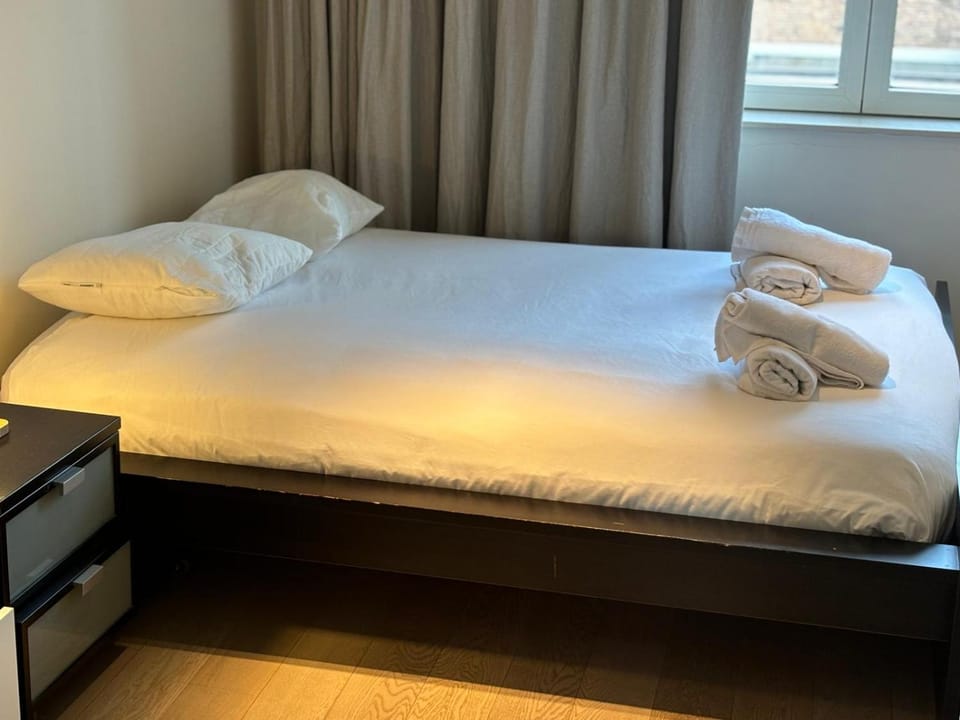 Charming apartment in the Heart of Brussels Apartment in Brussels