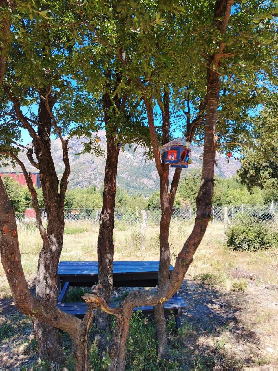 Garden, Mountain view
