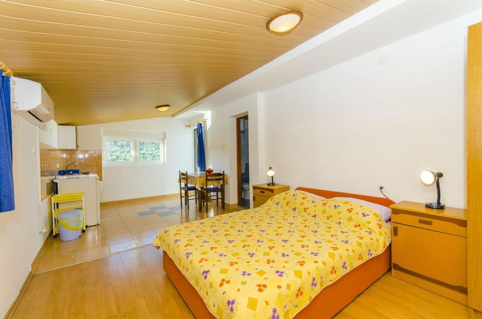Bed, Kitchen or kitchenette, Photo of the whole room, Dining area, Bedroom, air conditioner