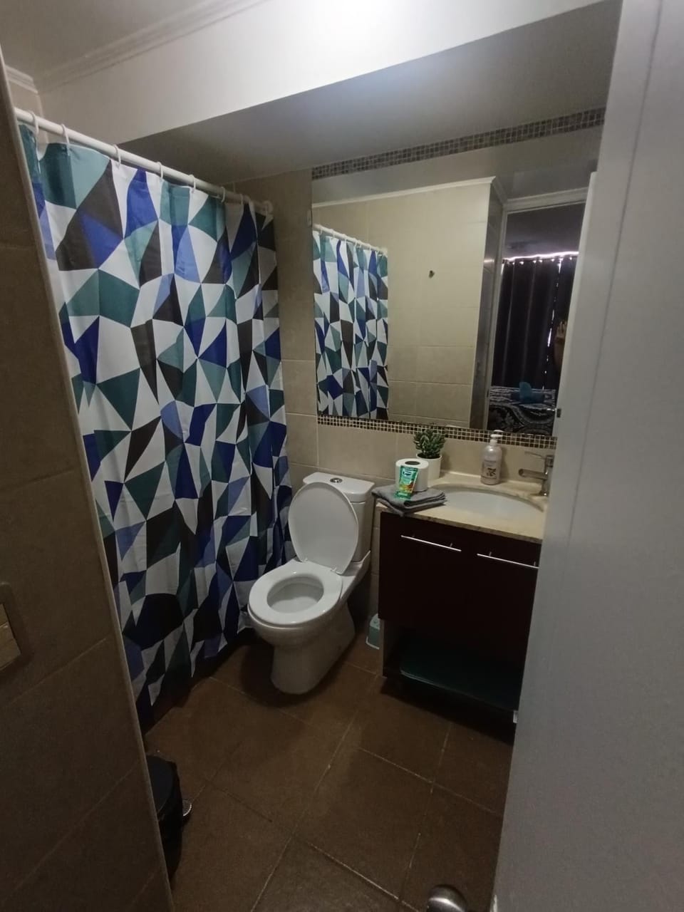 Andina Suite 6 Apartment in Santiago