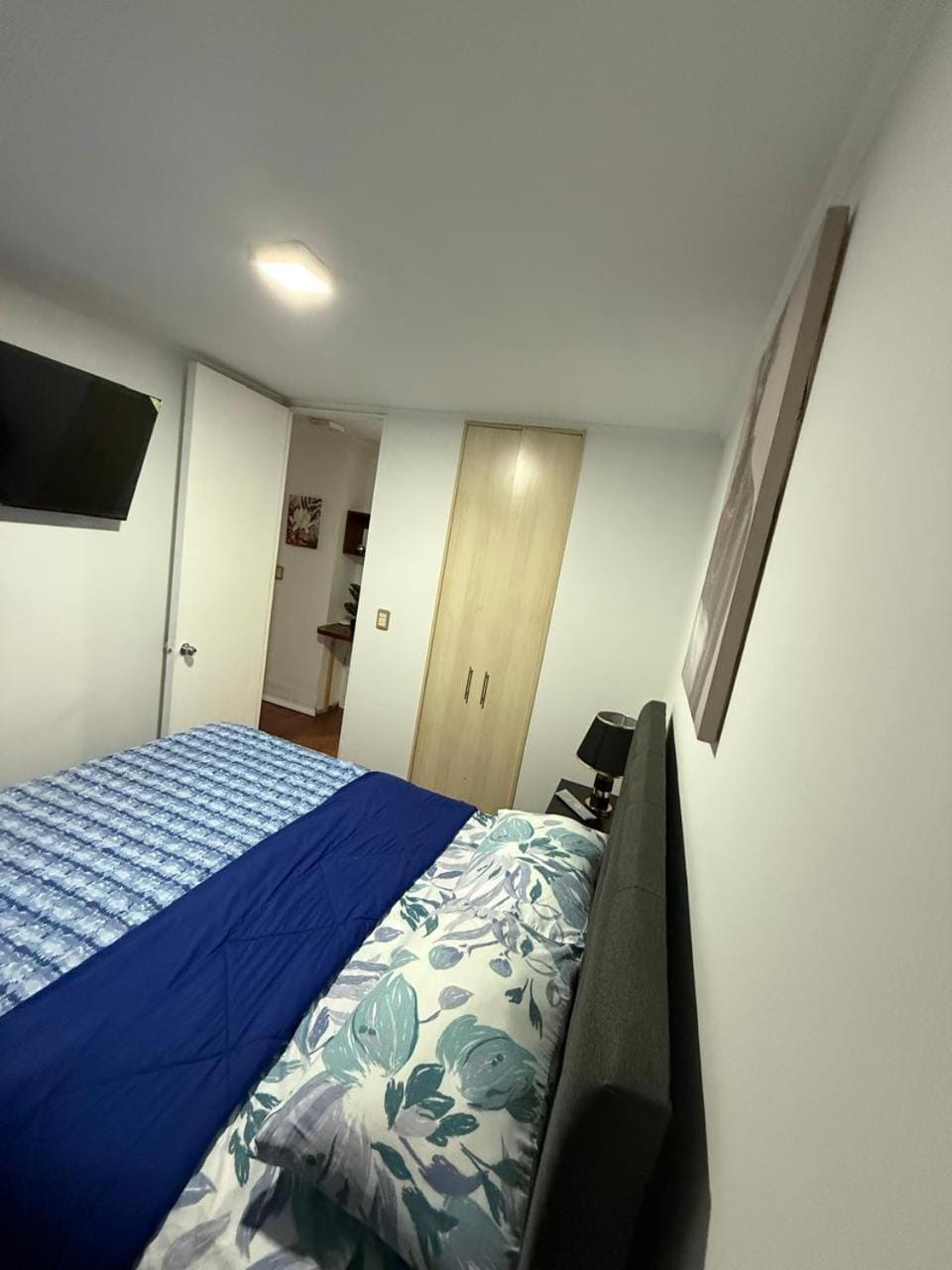 Andina suite 7 Apartment in Santiago