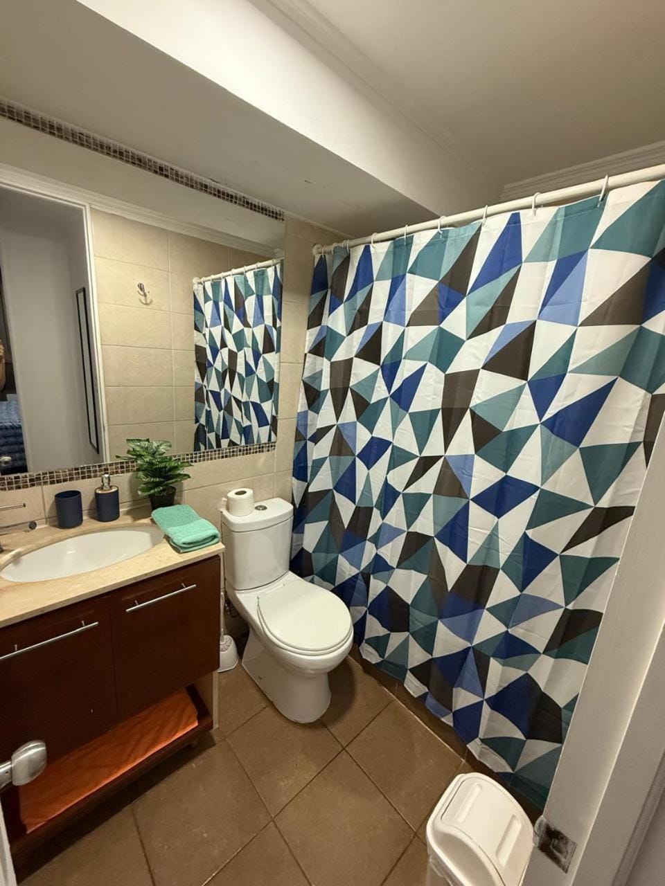 Andina suite 7 Apartment in Santiago
