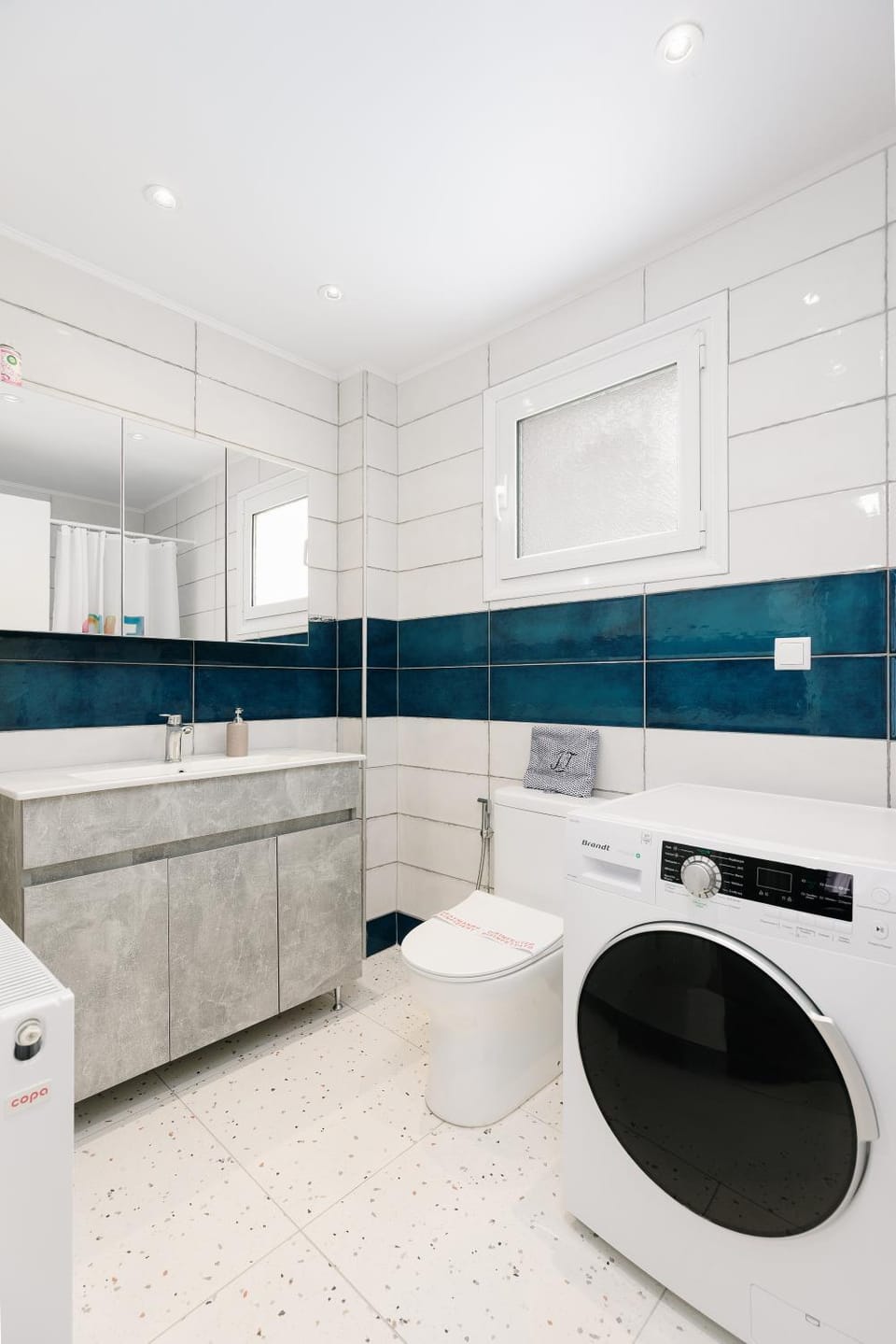 Toilet, Bathroom, washing machine