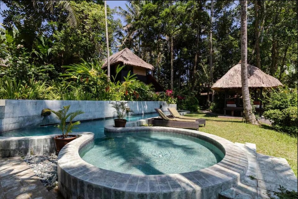 Garden, Swimming pool