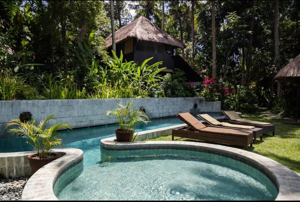 Garden, Swimming pool, sunbed