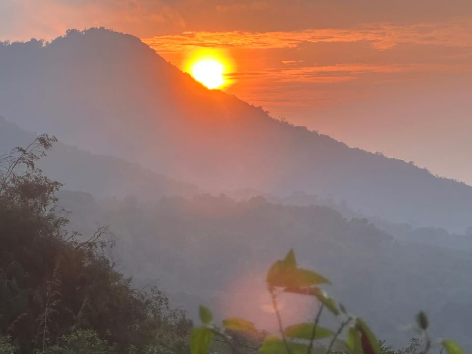 The Dee's at sinharaja Bed and Breakfast in Sri Lanka