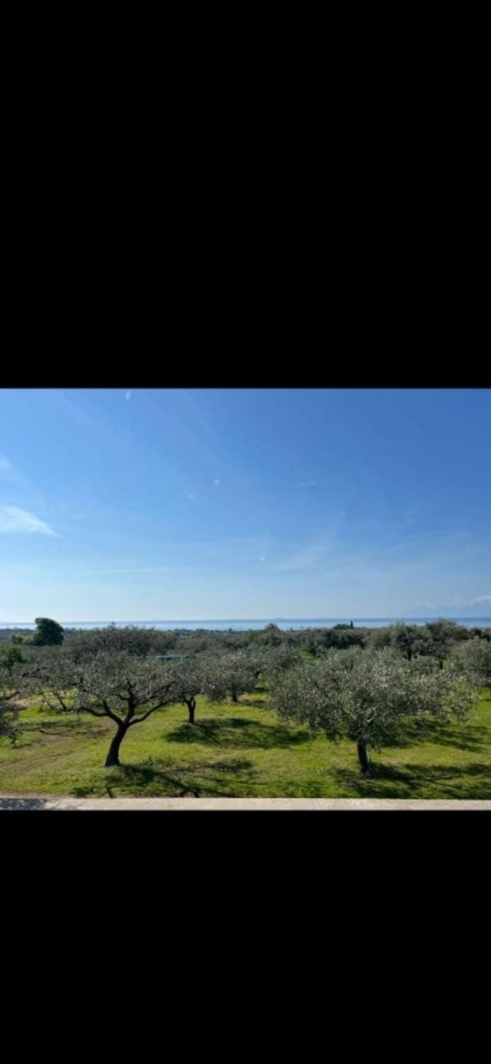Ulivi e Mare House in Evros, Greece