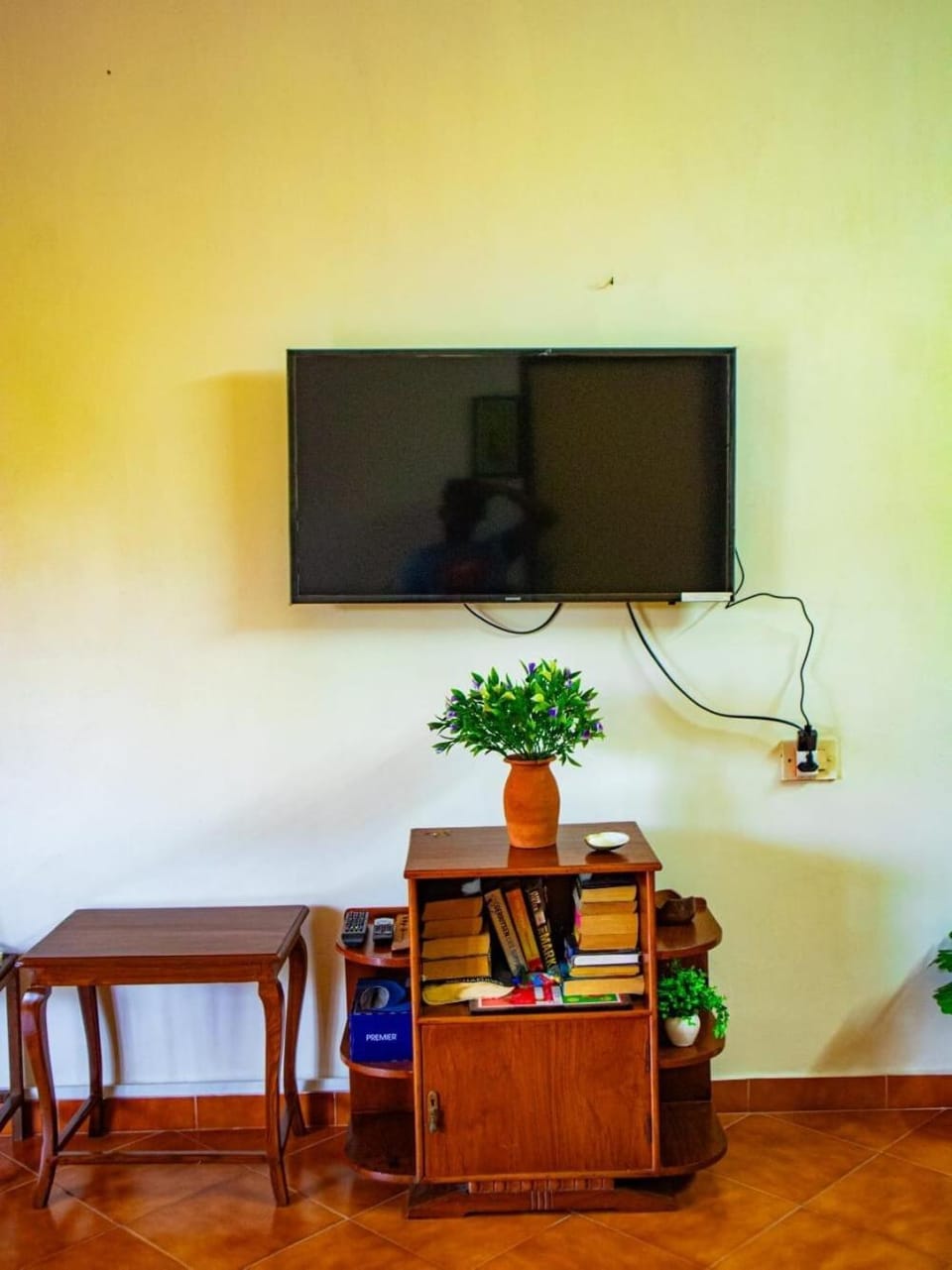 TV and multimedia