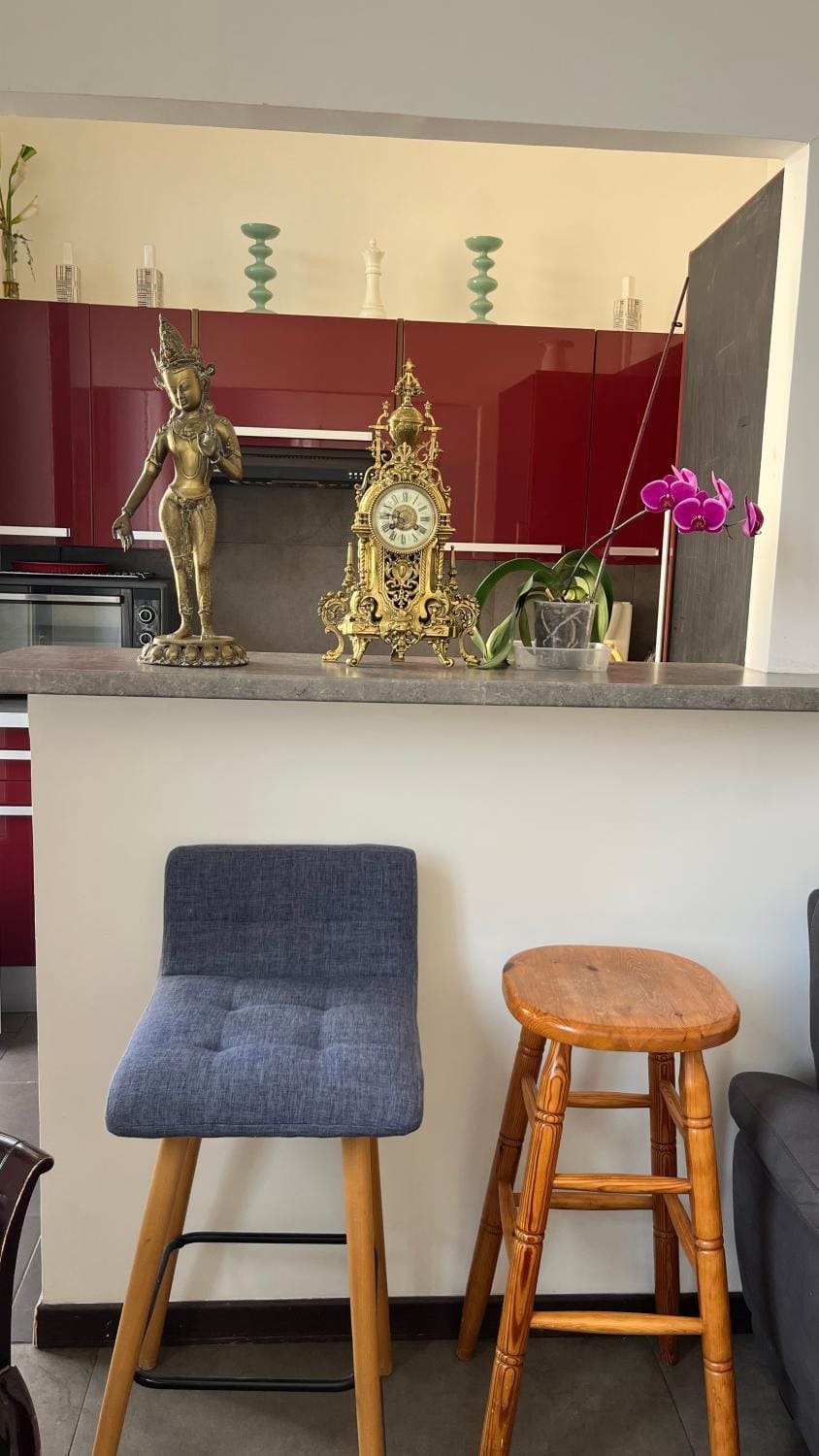 Two Bedroom Apartment near Old Town Apartment in Nice