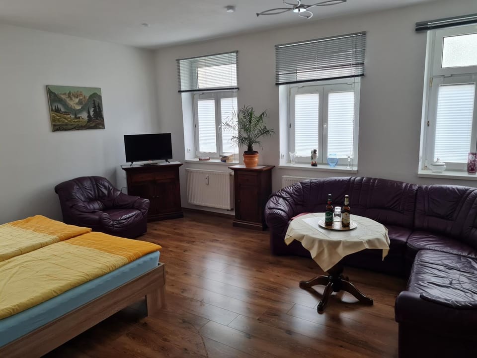 Bed, TV and multimedia, Living room, Photo of the whole room, Seating area, Bedroom