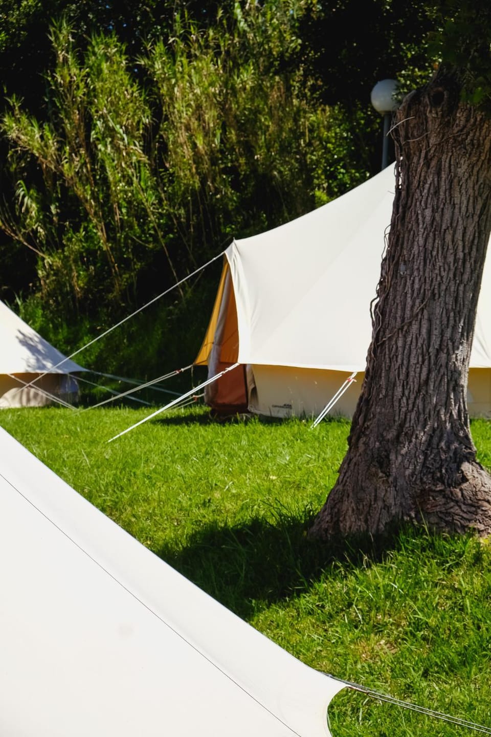 Tente dortoir partagée - Hegoa Surf Camp Pays Basque - Dorm - Compartida Hostel in Saint-Jean-de-Luz