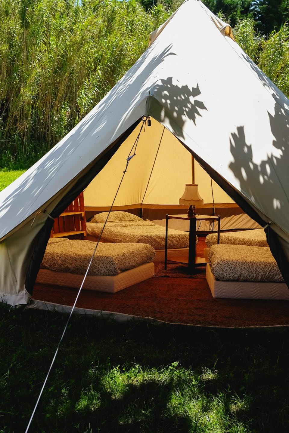 Tente dortoir partagée - Hegoa Surf Camp Pays Basque - Dorm - Compartida Hostel in Saint-Jean-de-Luz
