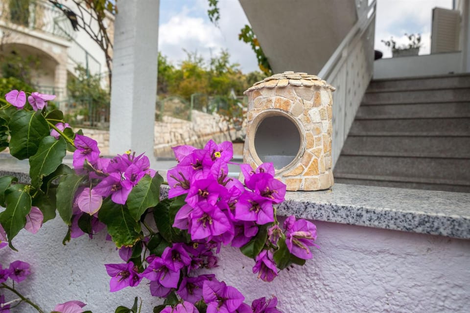 Property building, Patio