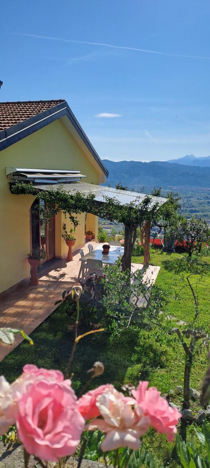 Property building, Garden, Dining area