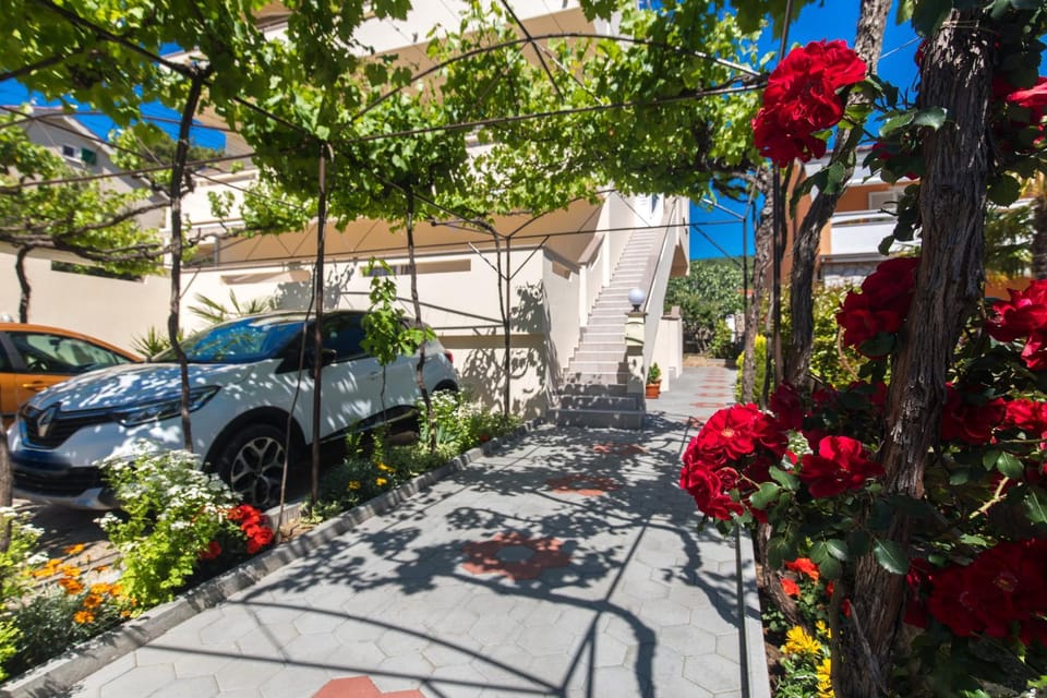 Property building, Spring, Day, Garden, Garden view, Parking
