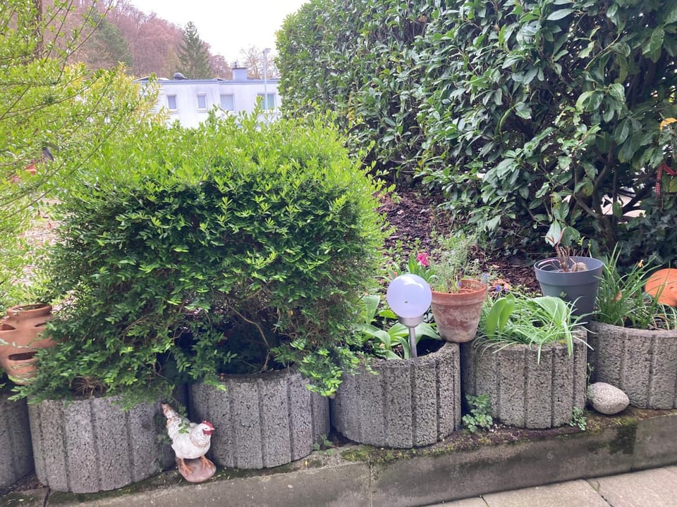 Geräumige Wohnung bei Basel Apartment in Canton of Basel City