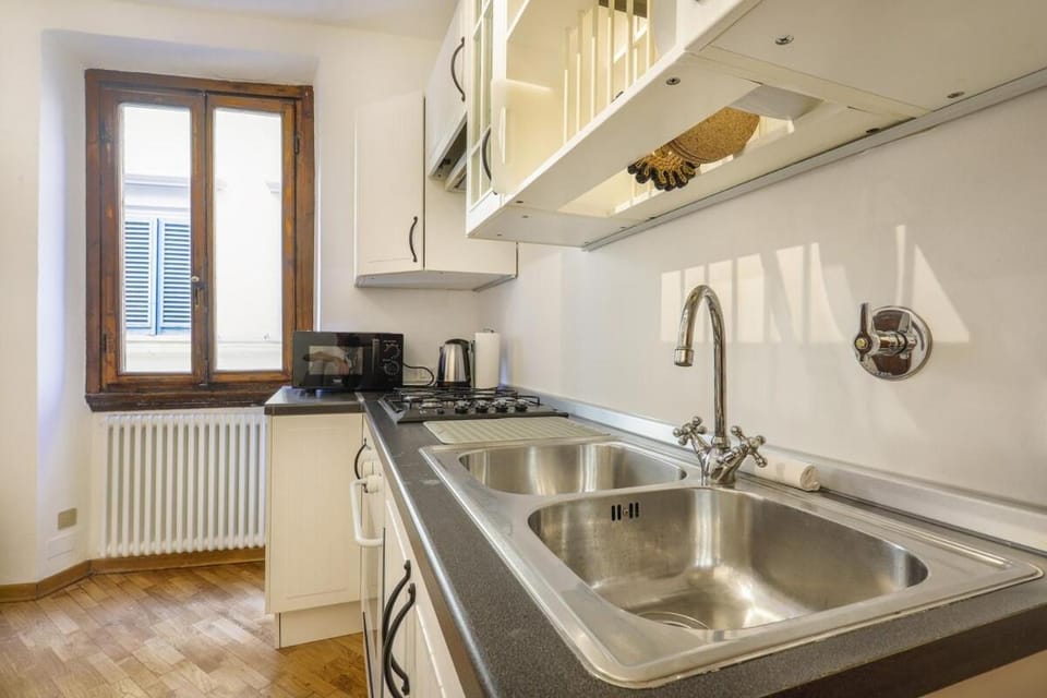 Campuccio Suite in Oltrarno, Florence Apartment in Florence