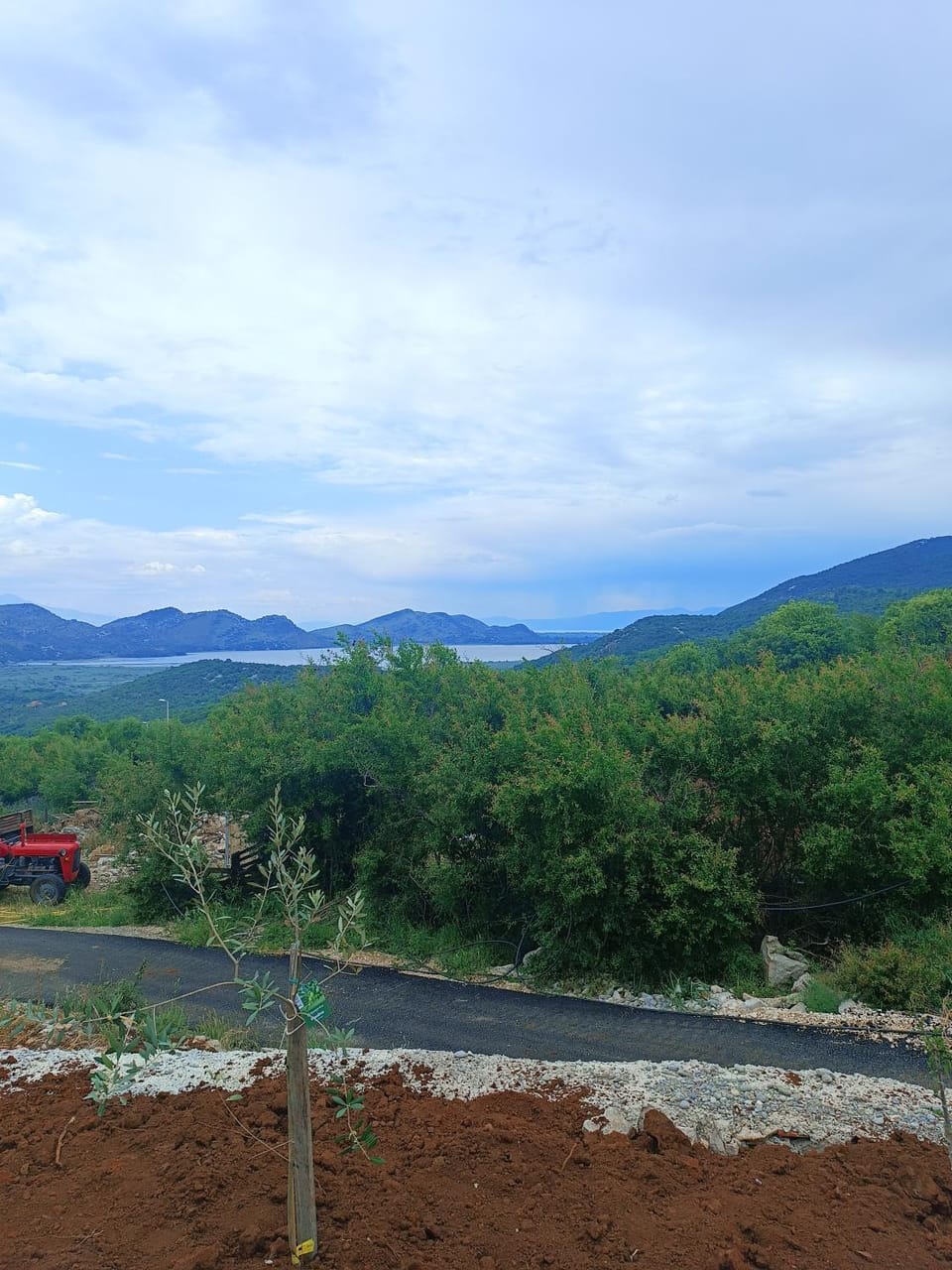 Lake view