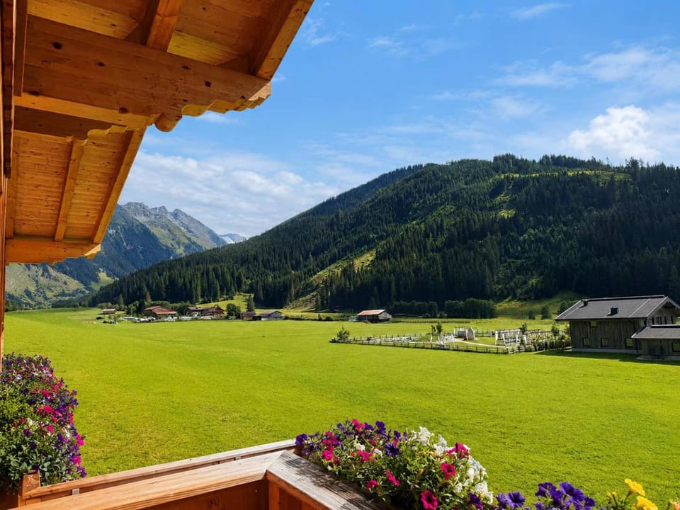 Mountain view