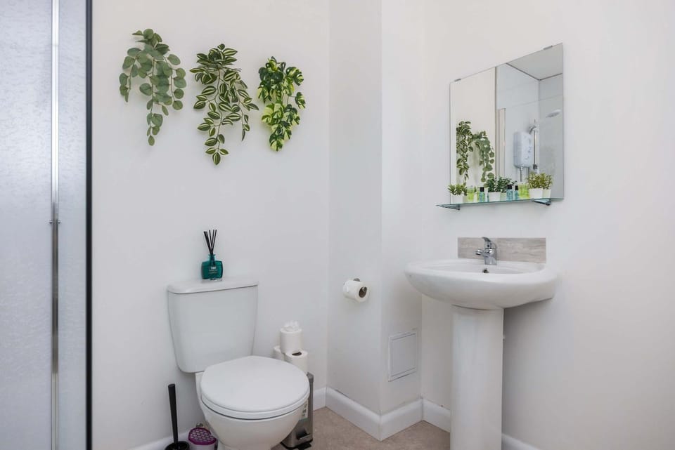Airy and Modern 1 BR apartment walk to centre House in Belfast