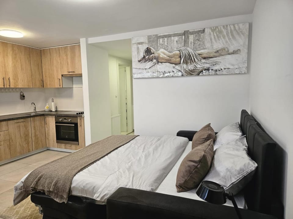 Studio apartman Sabi Apartment in City of Zagreb