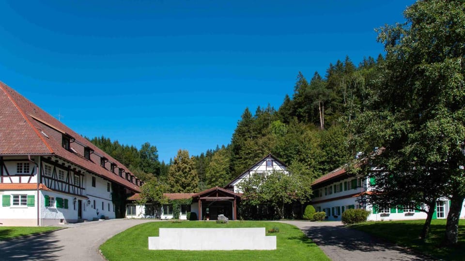 Garden view