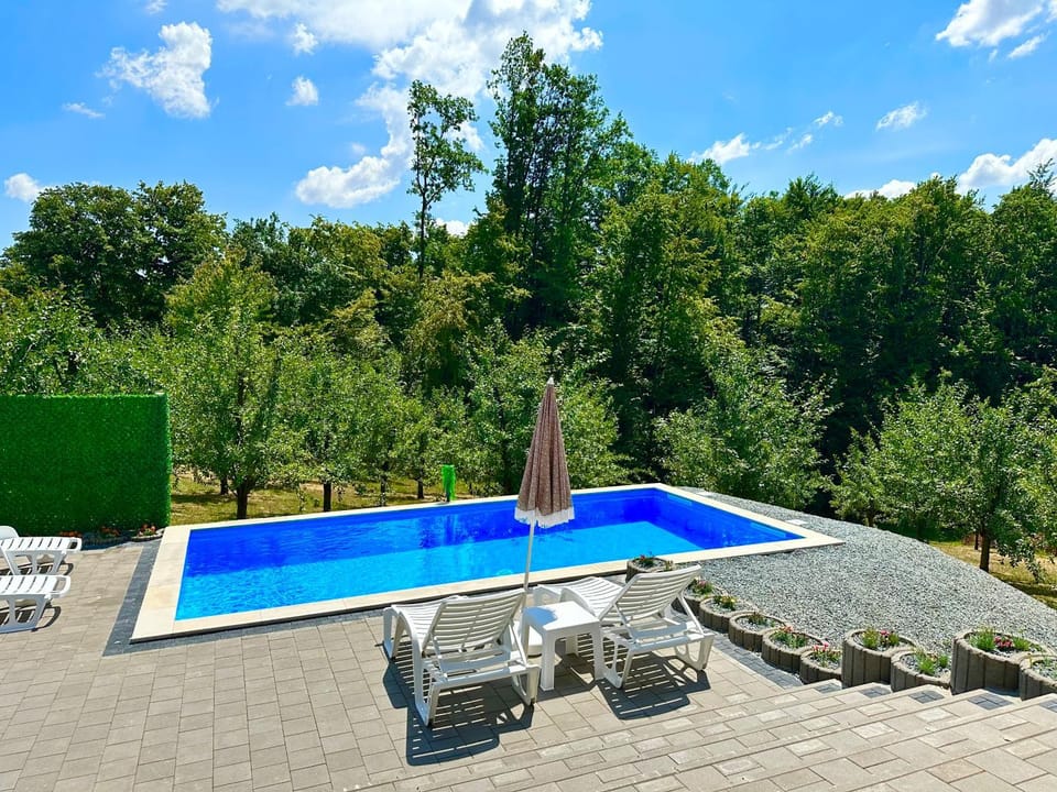 Garden, Garden view, Pool view, Swimming pool, sunbed