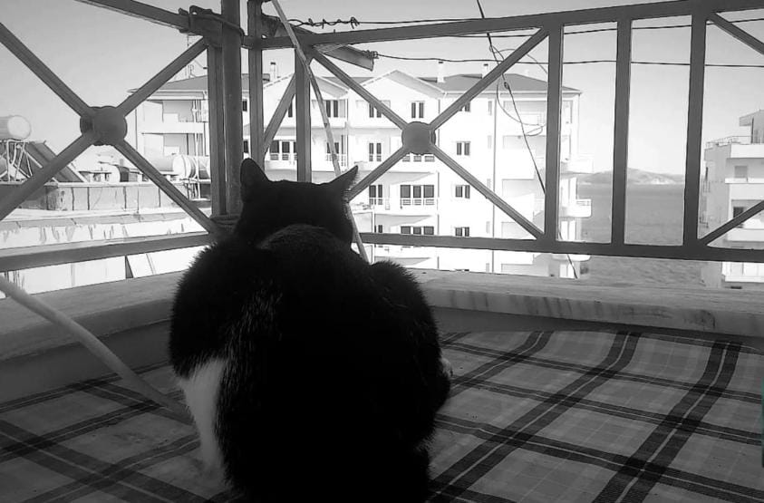 Nana's apartment Apartment in Sarandë