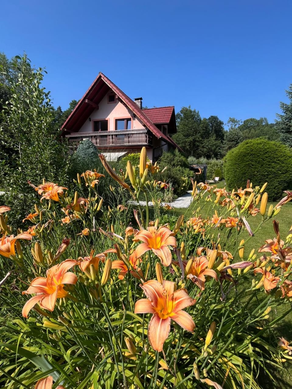 Property building, Garden view