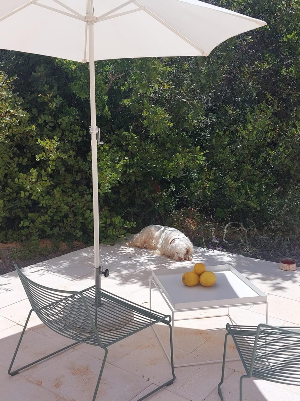 Patio, Garden